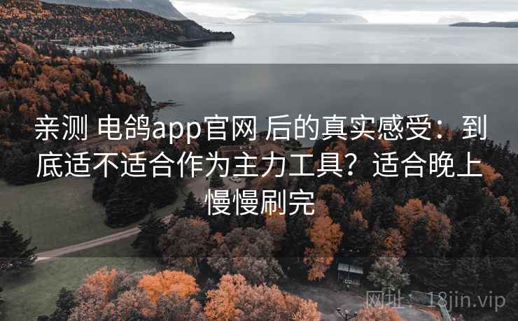亲测 电鸽app官网 后的真实感受：到底适不适合作为主力工具？适合晚上慢慢刷完