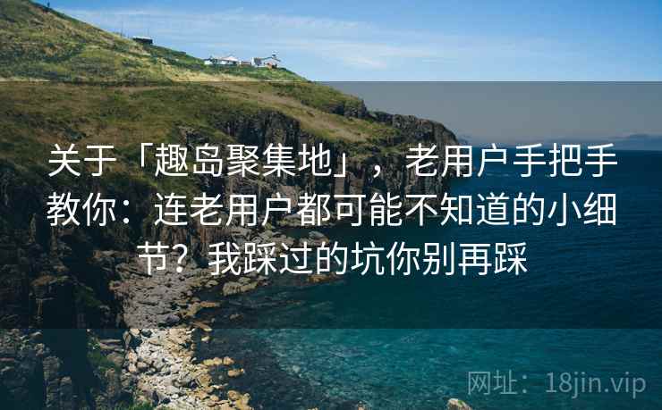 关于「趣岛聚集地」，老用户手把手教你：连老用户都可能不知道的小细节？我踩过的坑你别再踩