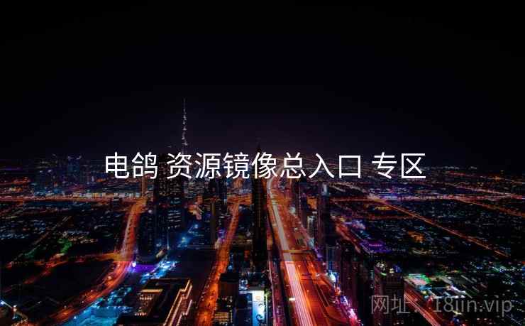 电鸽 资源镜像总入口 专区