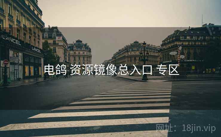 电鸽 资源镜像总入口 专区