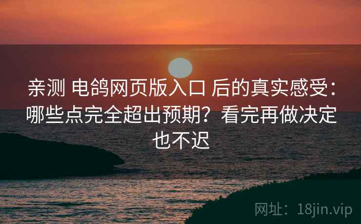 亲测 电鸽网页版入口 后的真实感受：哪些点完全超出预期？看完再做决定也不迟