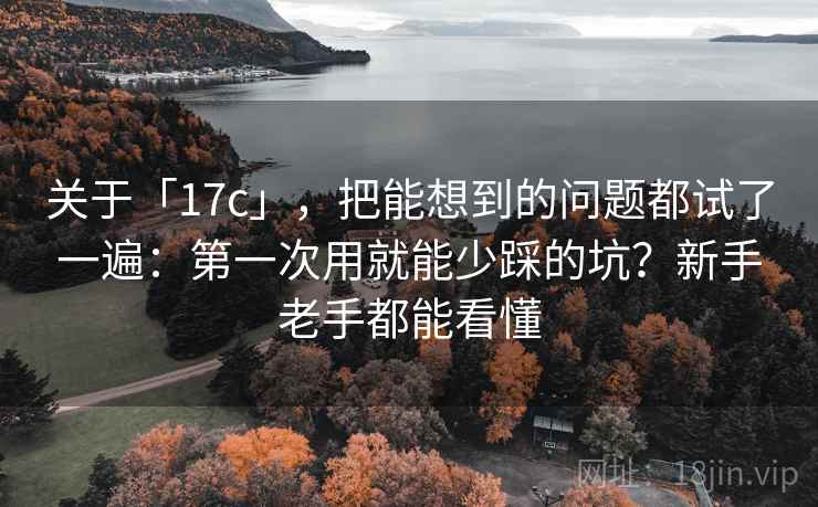 关于「17c」，把能想到的问题都试了一遍：第一次用就能少踩的坑？新手老手都能看懂