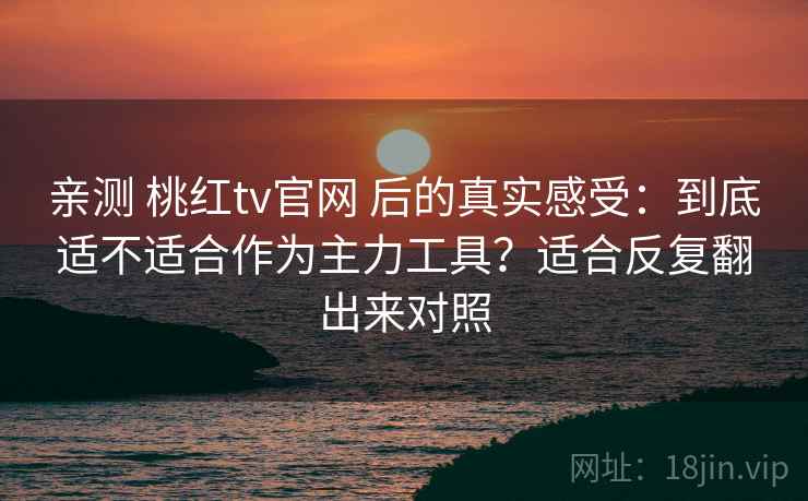 亲测 桃红tv官网 后的真实感受：到底适不适合作为主力工具？适合反复翻出来对照